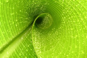 世界排球联赛：二传选择与快速进攻结合形成新型攻势体系，排球二传技术界定