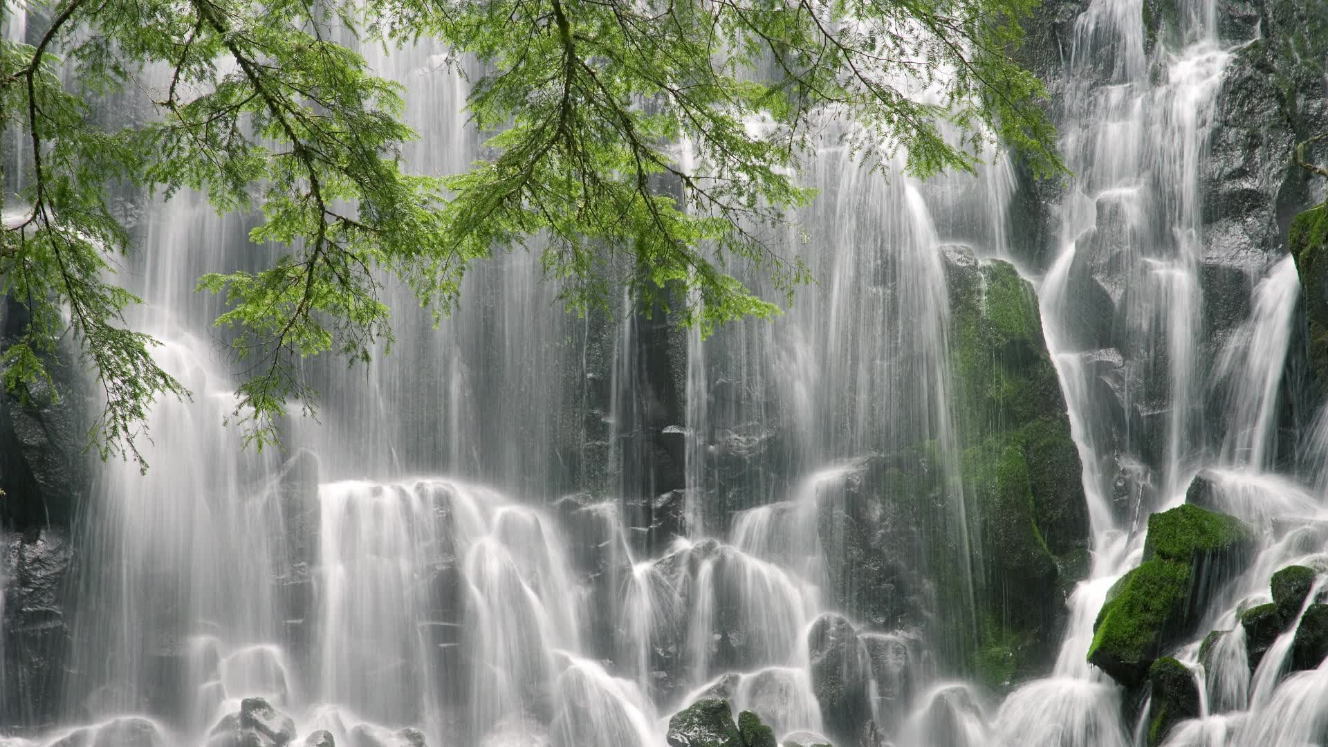 世界乒乓球联赛青训导师国际交流影像集第14版上线,世界乒乓球邀请赛